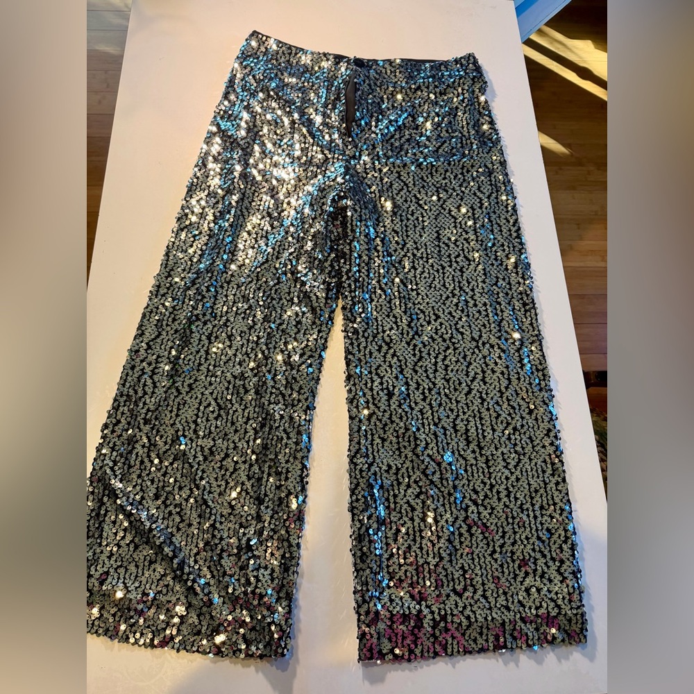 Size 30 NWT Anthropology Maeve the Collette wide leg sequen cropped pants